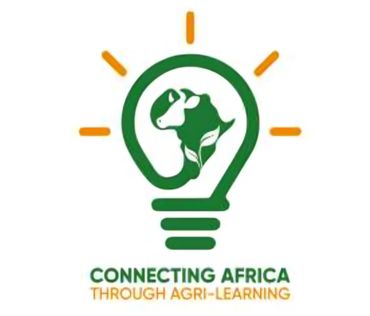 Connecting Africa